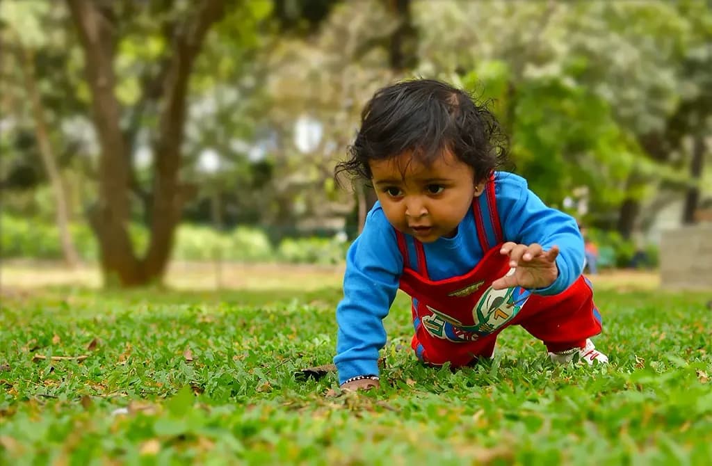 Un jeune enfant à quatre pattes dans l'herbe